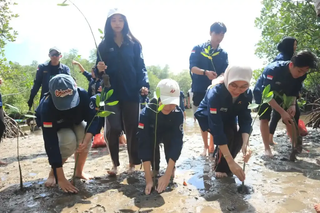 Tanam 1000 Bibit Mangrove UBL Pesawaran