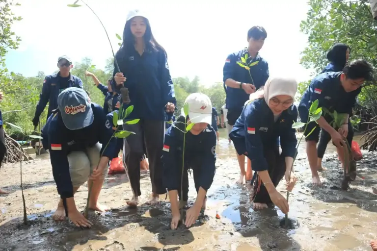 Tanam 1000 Bibit Mangrove UBL Pesawaran